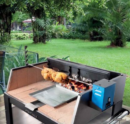 reptielen regeling Uitdrukkelijk Fontana Forni - Barbecues op hout/houtskool